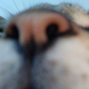 Meet your Posher, Krystel